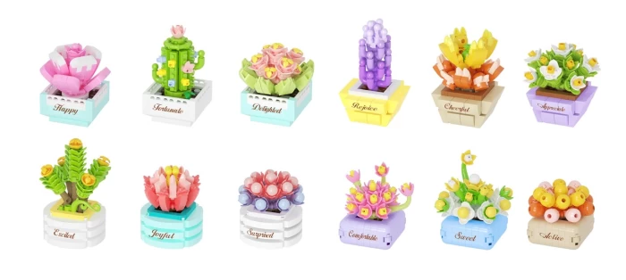 Plantes suculentes mini 123pcs - Koco