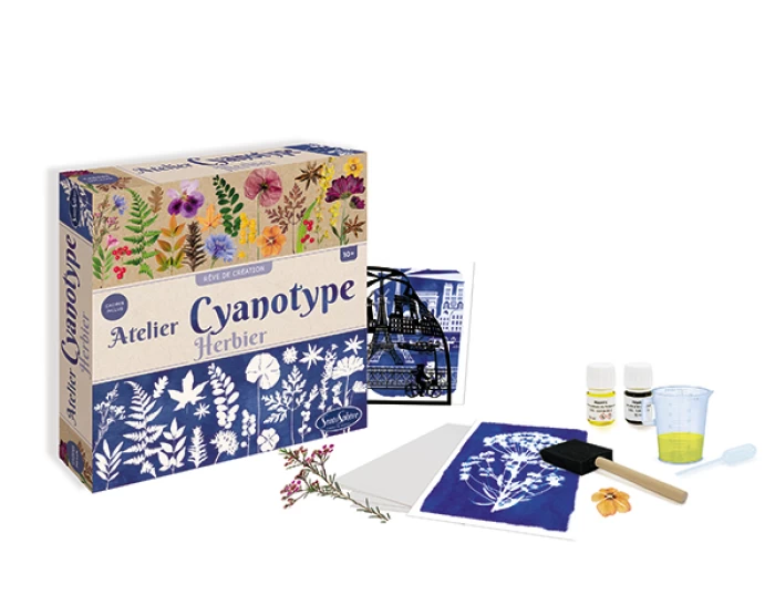 Atelier cianotipia - Sentosphere