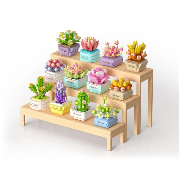 Plantas suculentas mini 123pcs - Koco